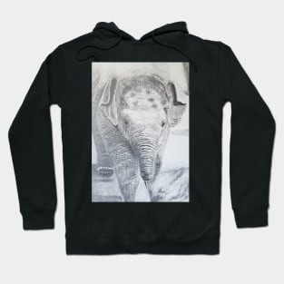 Baby Elephant Hoodie